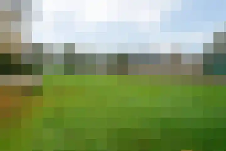 Eysingawei 13 Rinsumageast thumbnail 33