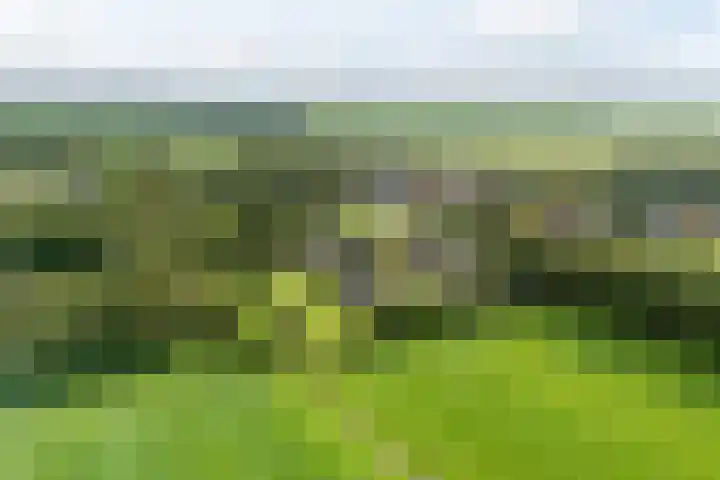 Eysingawei 13 Rinsumageast thumbnail 36