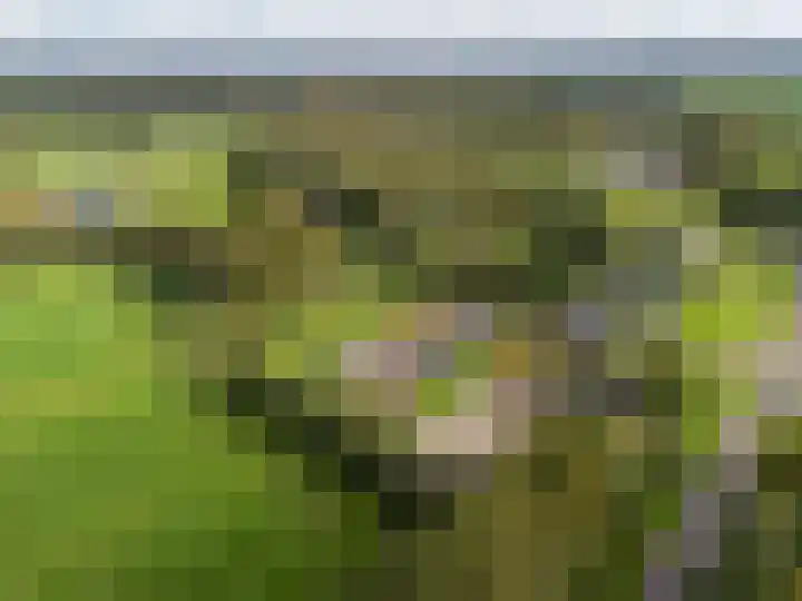 Eysingawei 13 Rinsumageast thumbnail 37