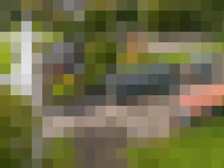 Eysingawei 13 Rinsumageast thumbnail 38