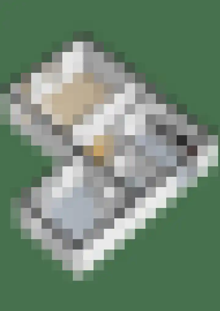 Eysingawei 13 Rinsumageast thumbnail 44