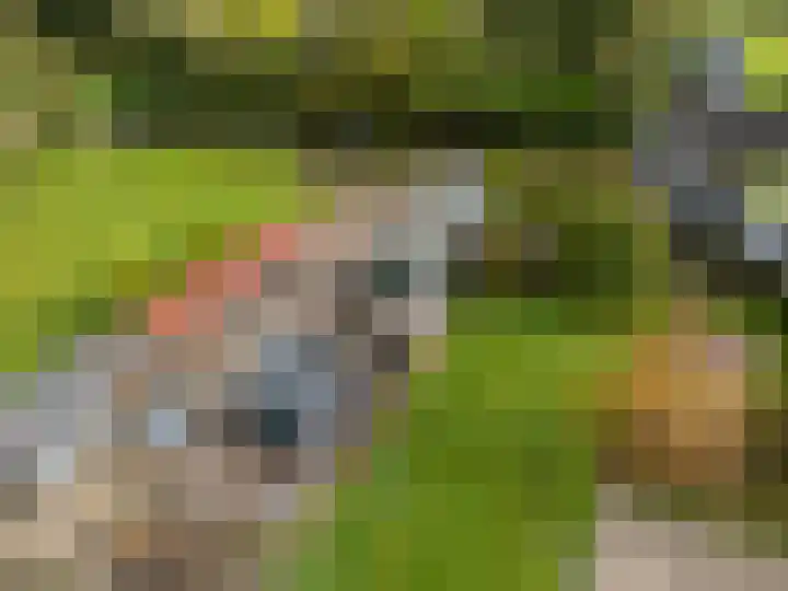 Eysingawei 13 Rinsumageast thumbnail 7