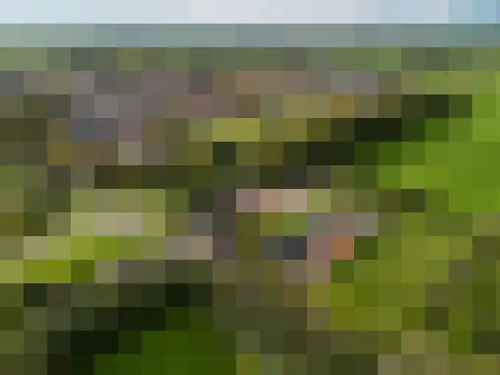 Eysingawei 13 Rinsumageast thumbnail 8