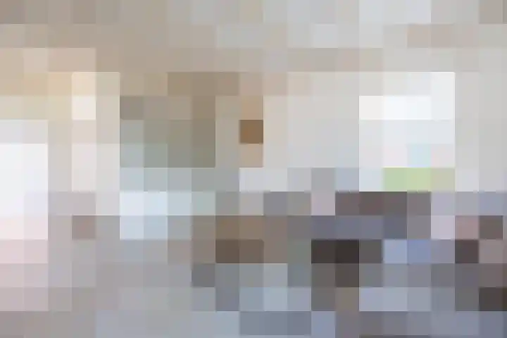 Eysingawei 3 Rinsumageast thumbnail 14