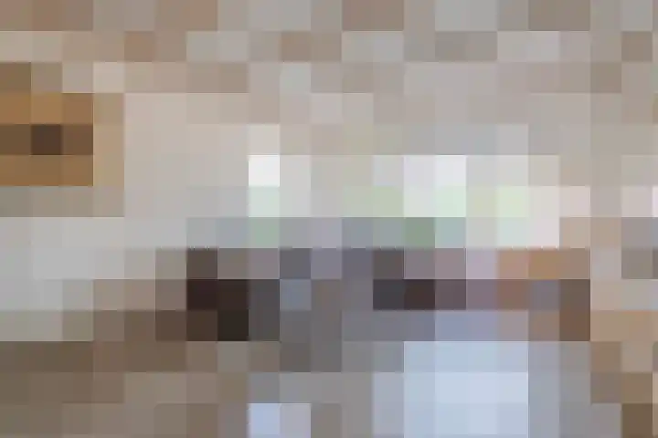 Eysingawei 3 Rinsumageast thumbnail 15