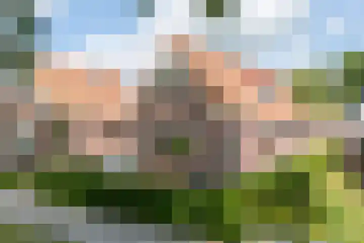 Eysingawei 3 Rinsumageast foto 3