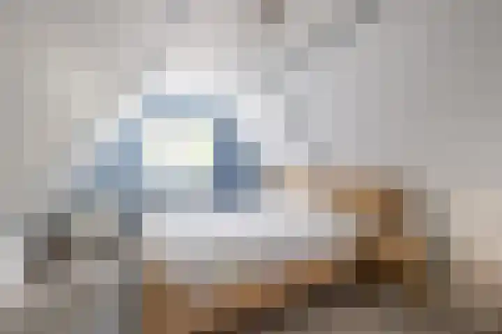 Eysingawei 3 Rinsumageast thumbnail 39