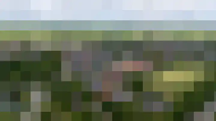 Eysingawei 3 Rinsumageast thumbnail 4