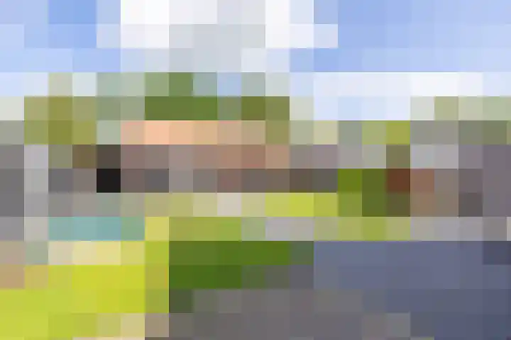 Eysingawei 3 Rinsumageast thumbnail 41