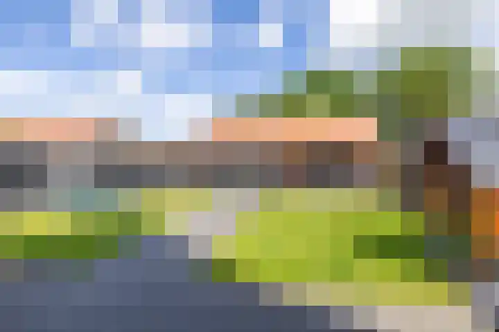 Eysingawei 3 Rinsumageast thumbnail 42