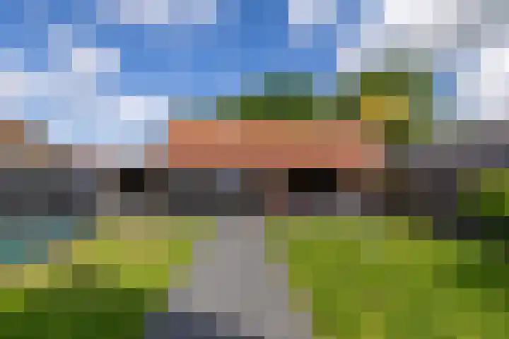 Eysingawei 3 Rinsumageast thumbnail 43