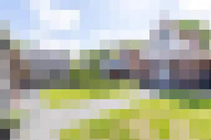 Eysingawei 3 Rinsumageast thumbnail 48