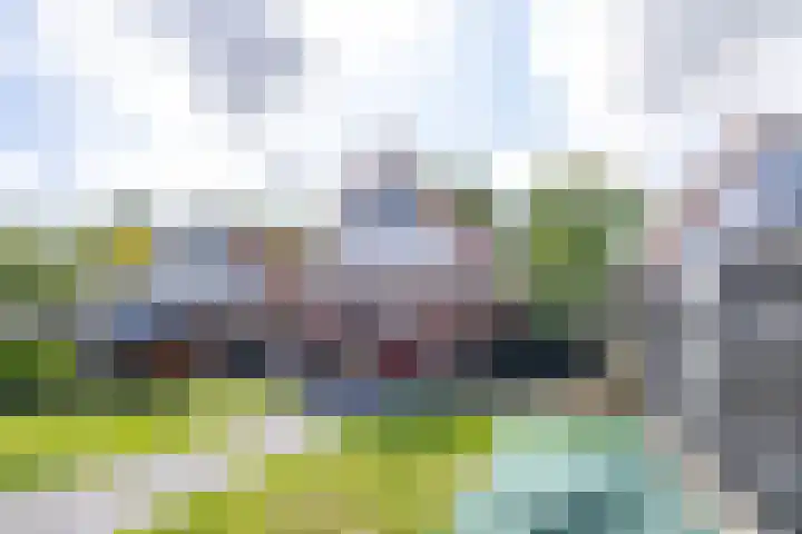 Eysingawei 3 Rinsumageast thumbnail 49