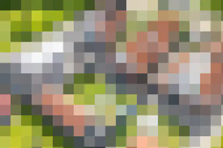Eysingawei 3 Rinsumageast thumbnail 51