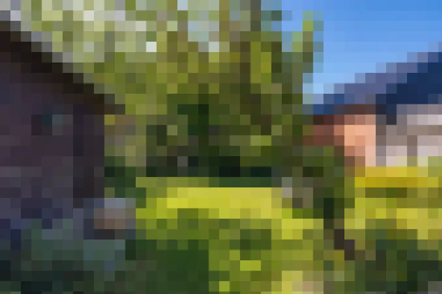 Eyso de Wendtstraat 10 Kollum thumbnail 21