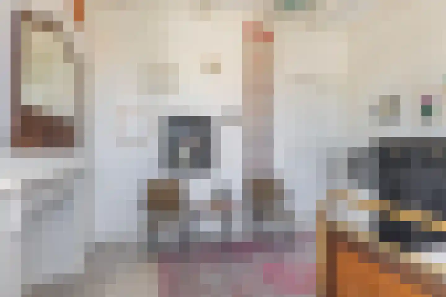 Eyso de Wendtstraat 10 Kollum thumbnail 28
