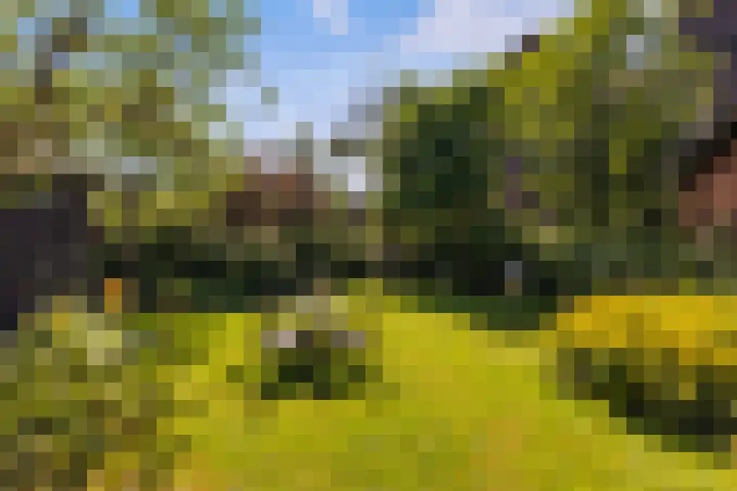 Eyso de Wendtstraat 10 Kollum thumbnail 4