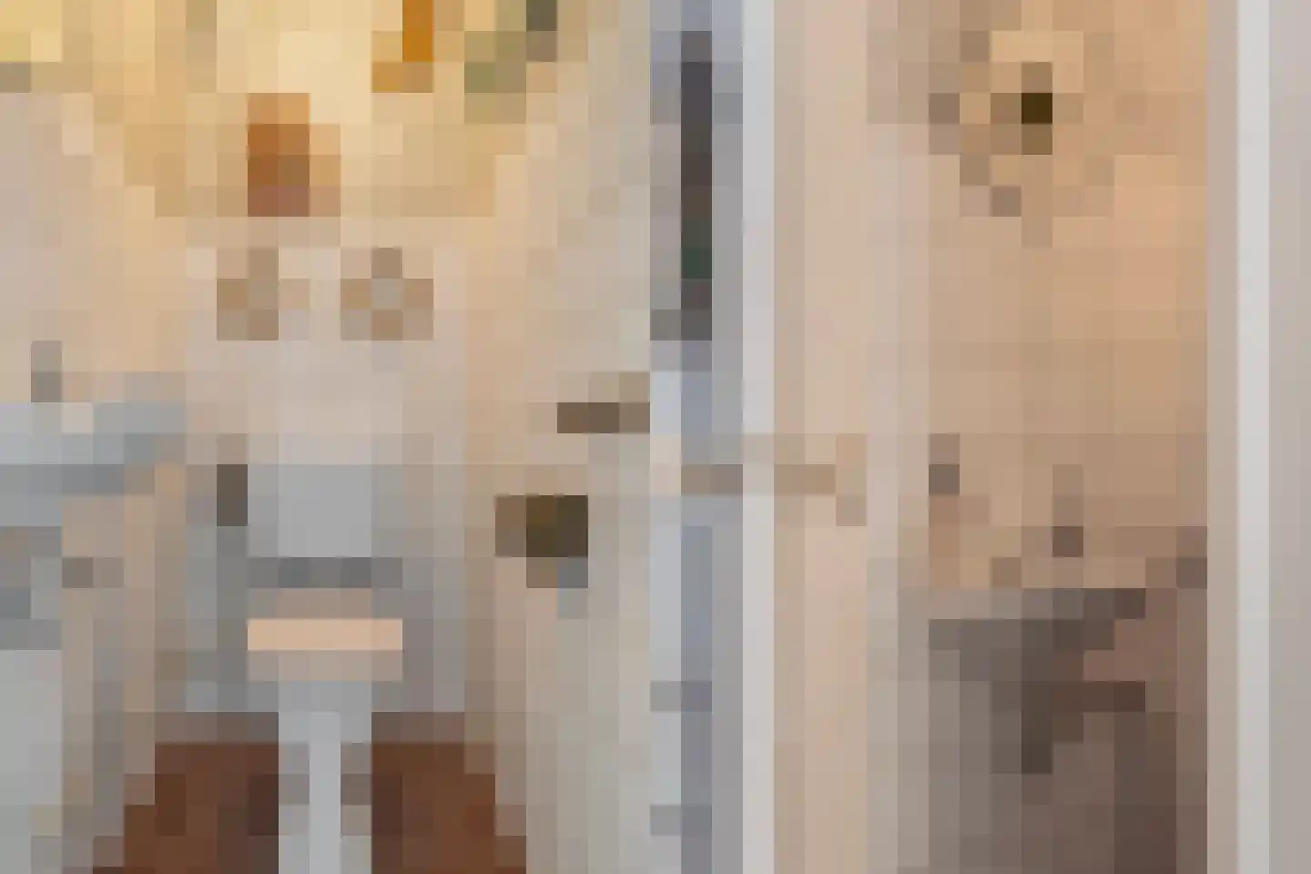Eyso de Wendtstraat 10 Kollum thumbnail 8
