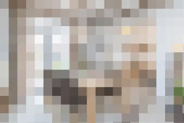 Eyssenstraat 18 Wijnandsrade thumbnail 12