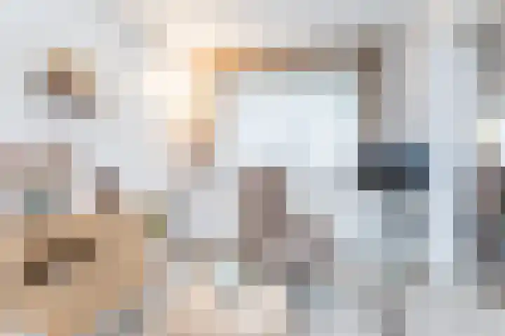 Eyssenstraat 18 Wijnandsrade thumbnail 15