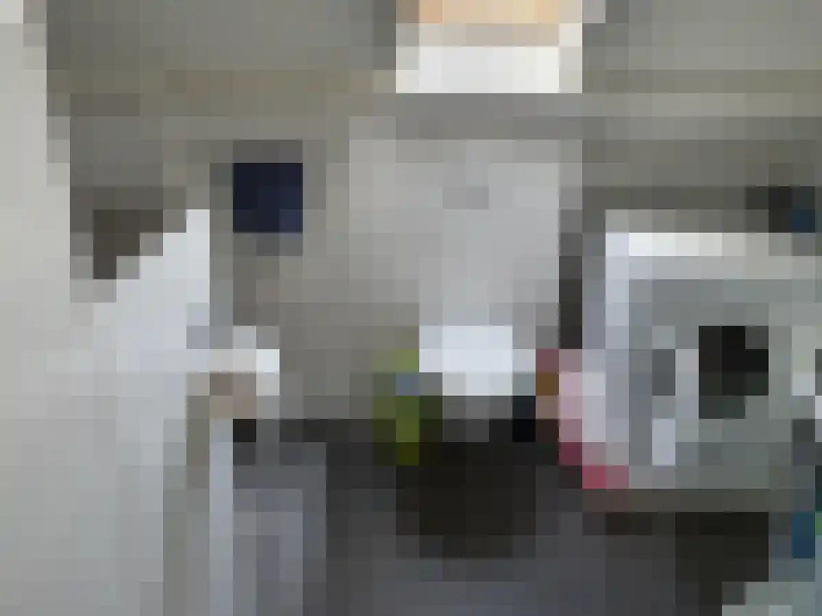 Eyssoniusplein 11 Groningen thumbnail 5