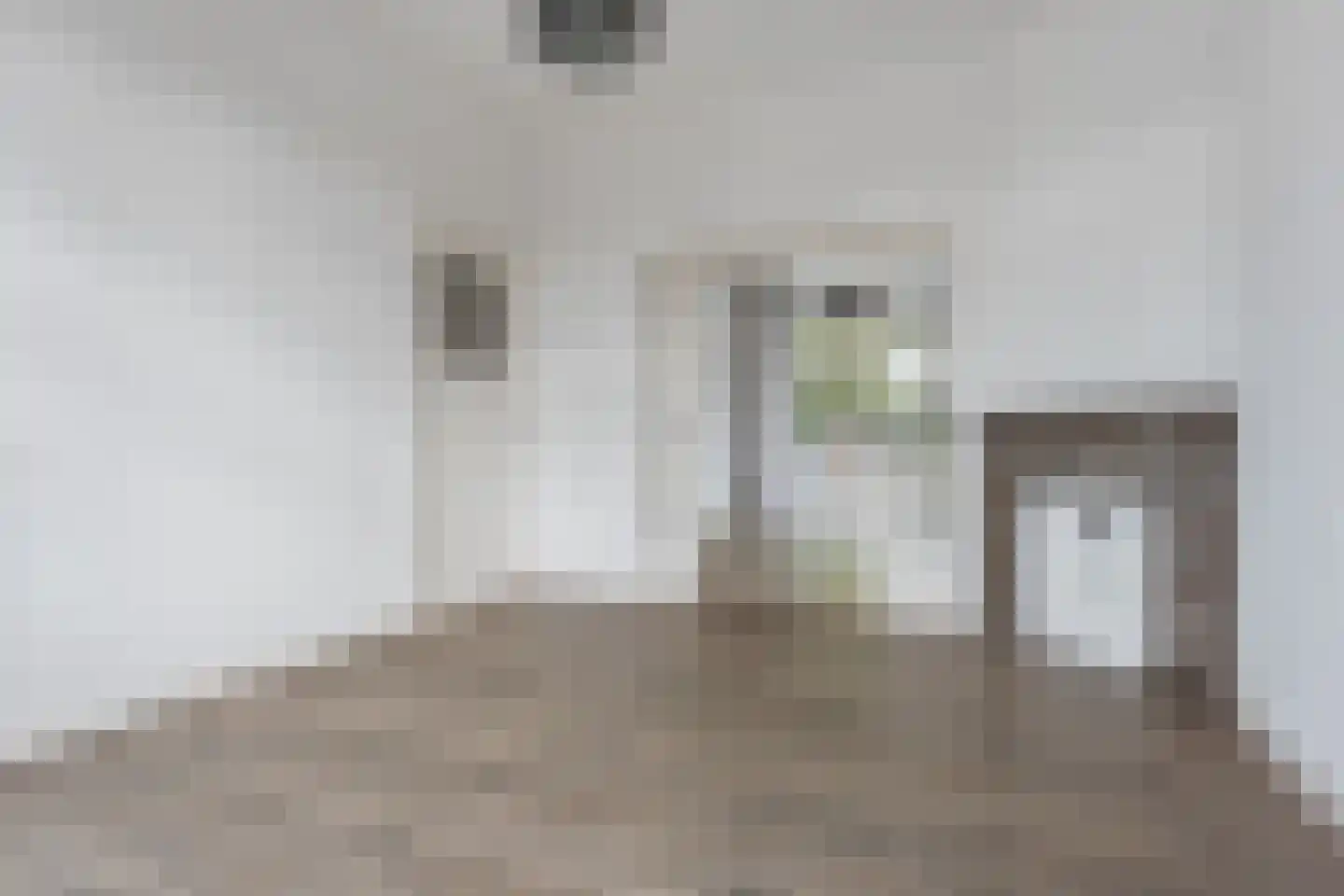 Eyssoniusplein 19 a Groningen thumbnail 18