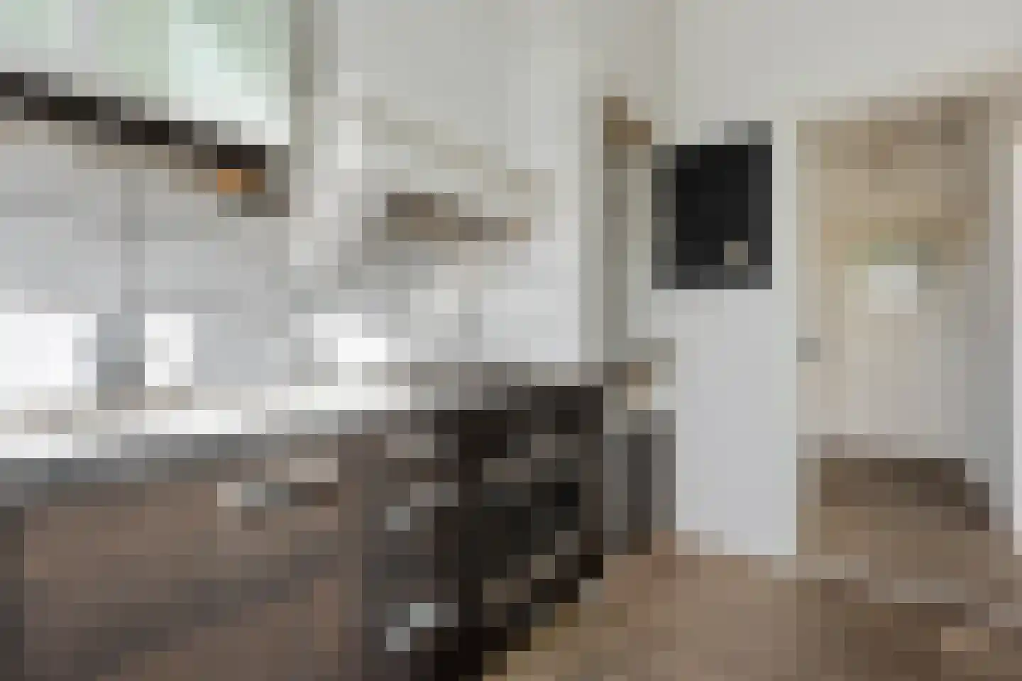 Eyssoniusplein 19 a Groningen thumbnail 20
