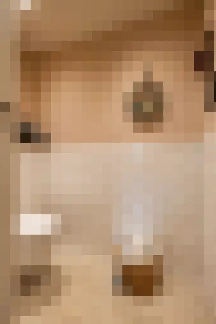 Eyssoniusstraat 11 Groningen thumbnail 12