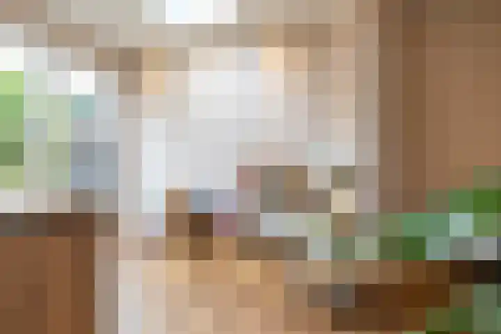 Eyssoniusstraat 11 Groningen thumbnail 33