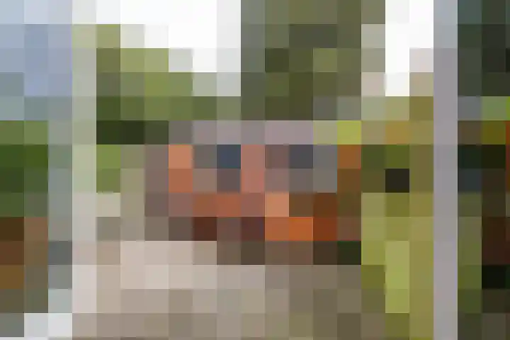 Eyssoniusstraat 11 Groningen thumbnail 39