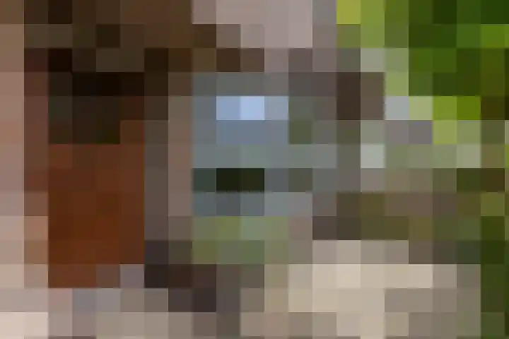 Eyssoniusstraat 11 Groningen thumbnail 4