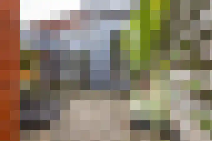 Eyssoniusstraat 11 Groningen thumbnail 42