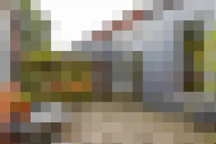 Eyssoniusstraat 11 Groningen thumbnail 44
