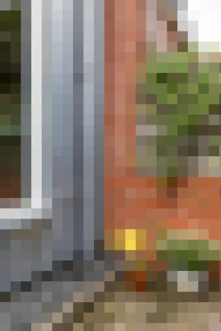 Eyssoniusstraat 11 Groningen thumbnail 46