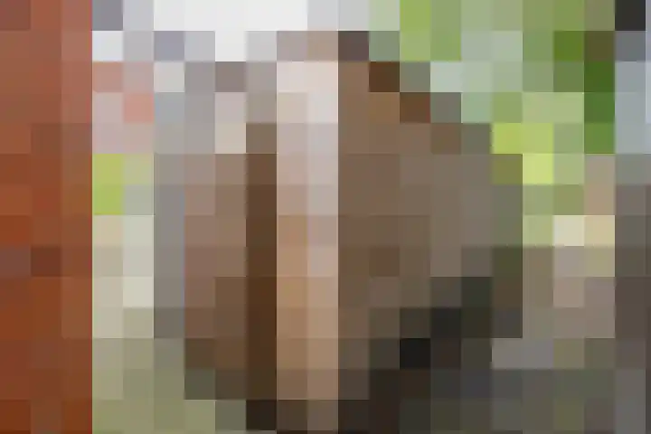 Eyssoniusstraat 11 Groningen thumbnail 50