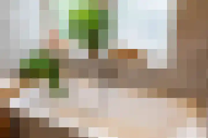 Eyssoniusstraat 11 Groningen thumbnail 56