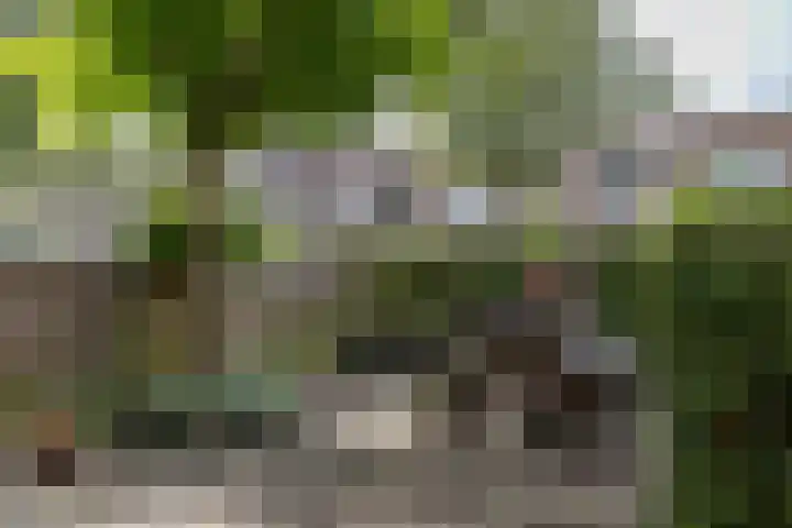 Eyssoniusstraat 11 Groningen thumbnail 6