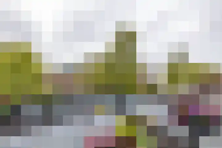 Eyssoniusstraat 11 Groningen thumbnail 71