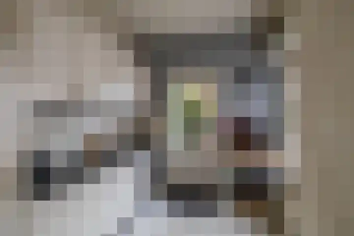 Eyssoniusstraat 24 Groningen thumbnail 15
