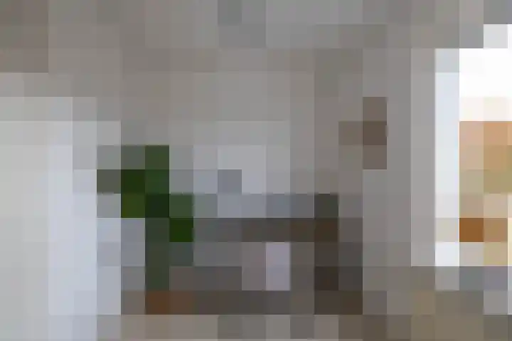 Eyssoniusstraat 24 Groningen thumbnail 25