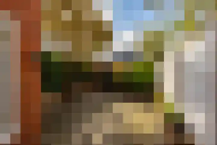 Eyssoniusstraat 24 Groningen thumbnail 37