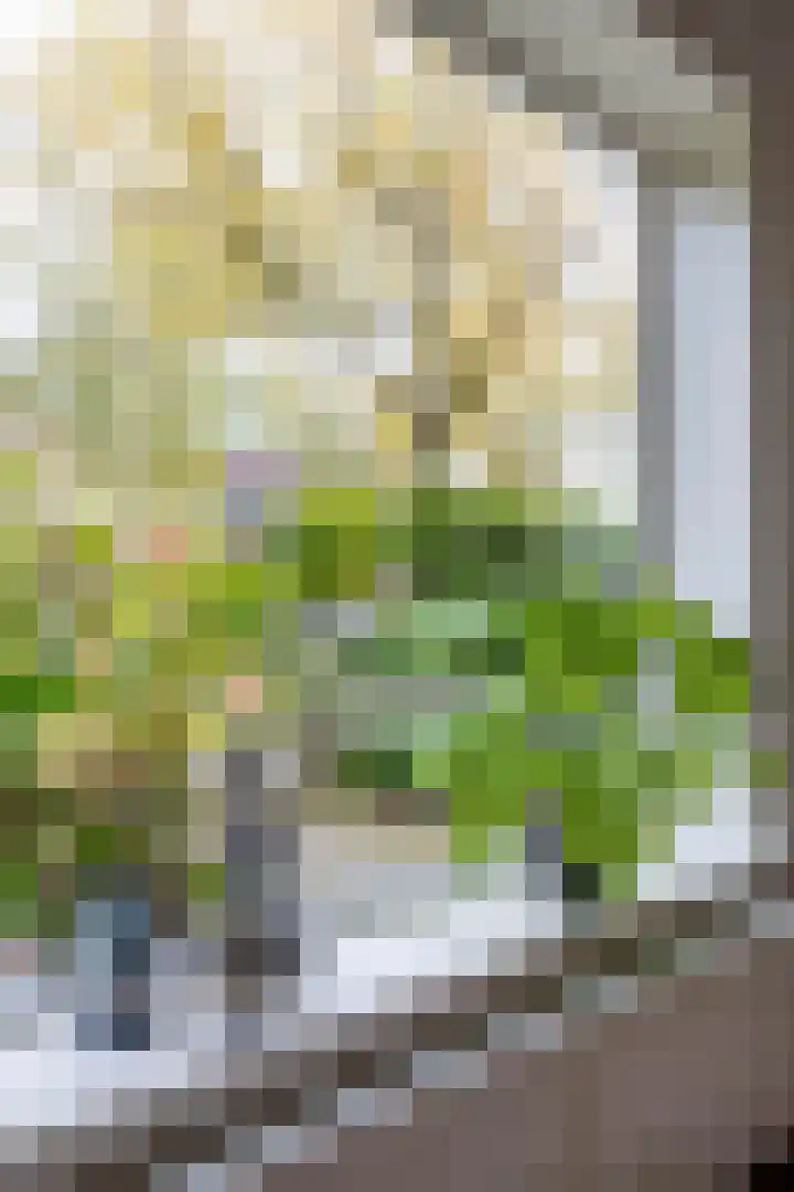 Eyssoniusstraat 24 Groningen thumbnail 40