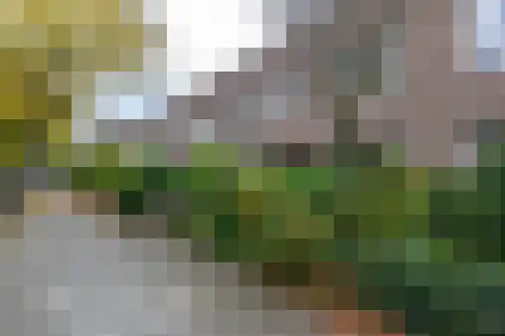 Eyssoniusstraat 24 Groningen thumbnail 43