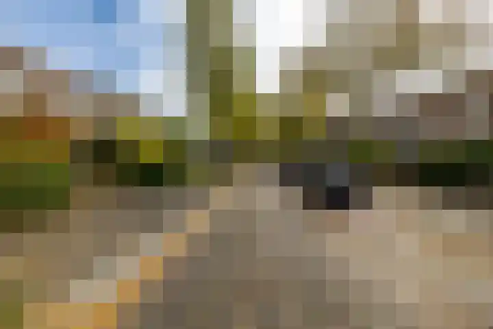 Eyssoniusstraat 24 Groningen thumbnail 44