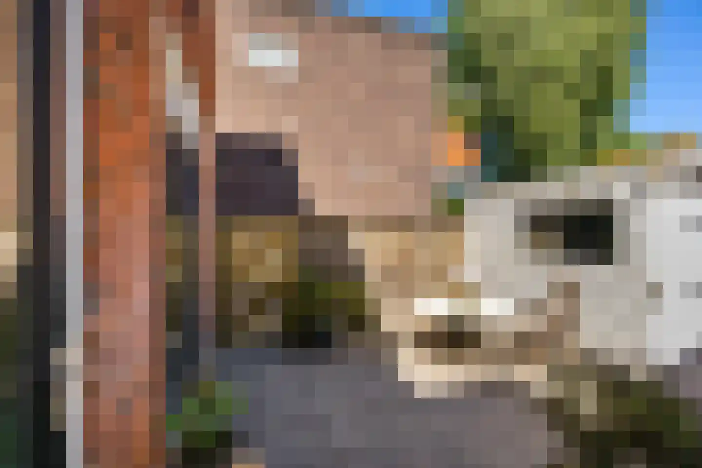 Eyssoniusstraat 3 Groningen thumbnail 22