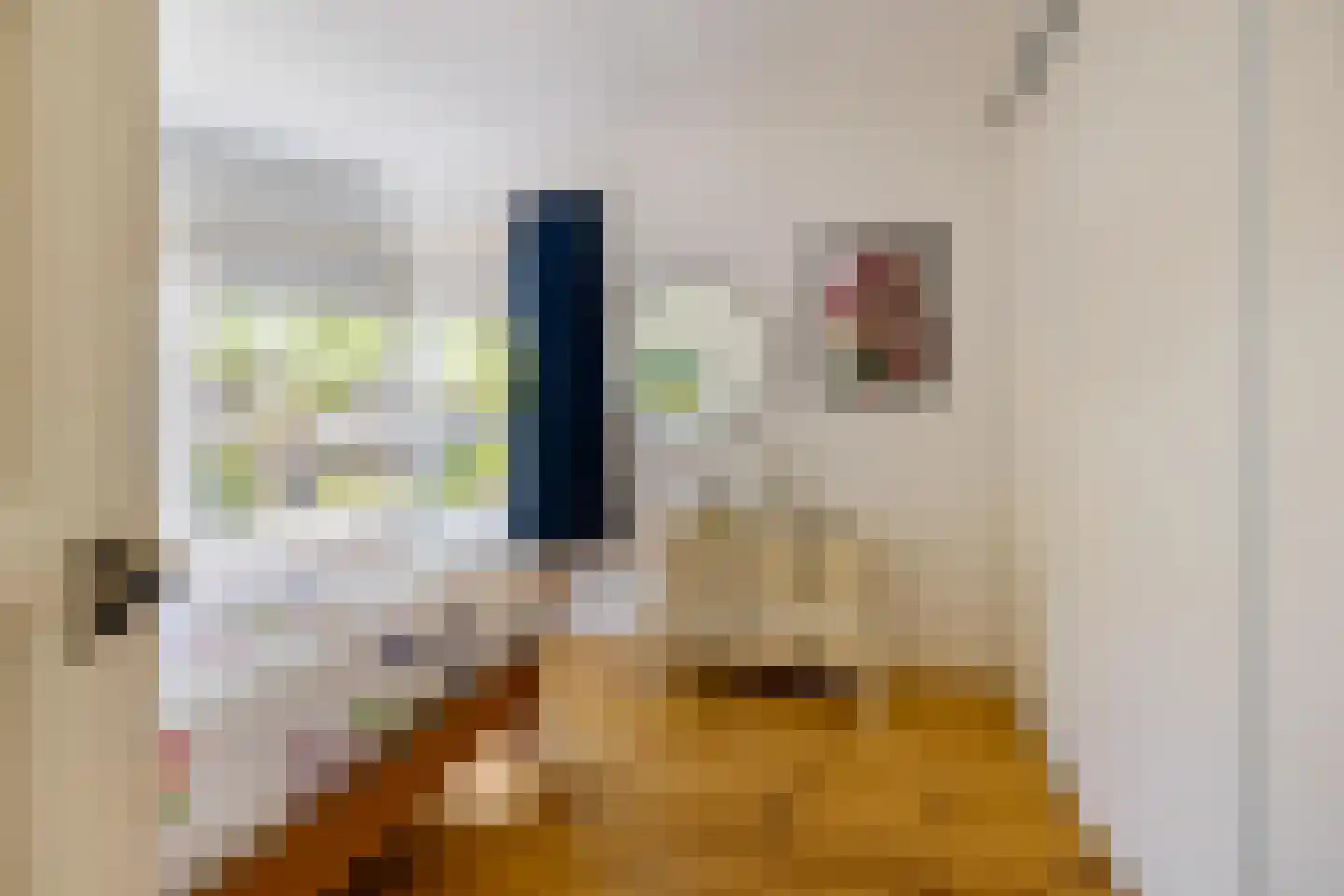 Eyssoniusstraat 3 Groningen thumbnail 28