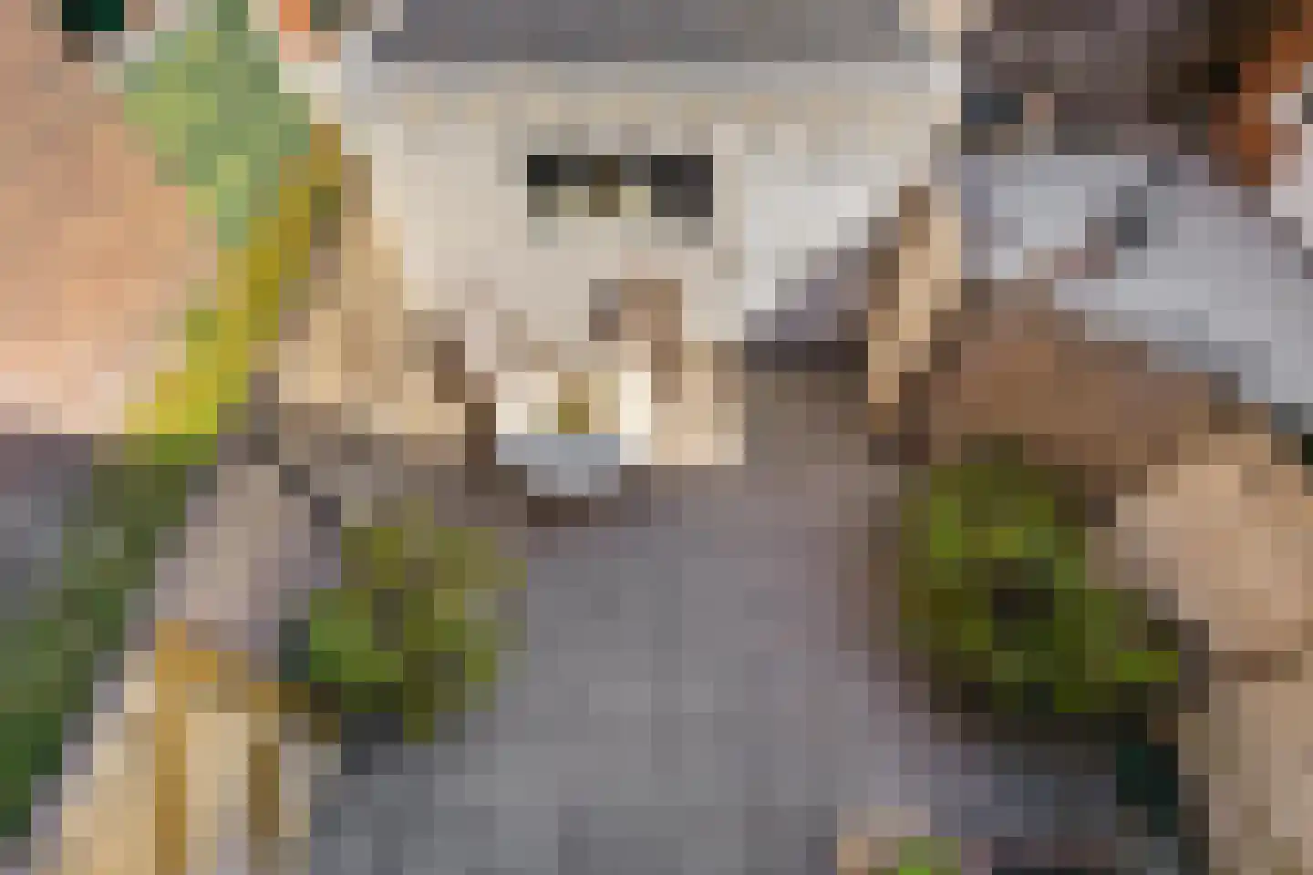 Eyssoniusstraat 3 Groningen thumbnail 35
