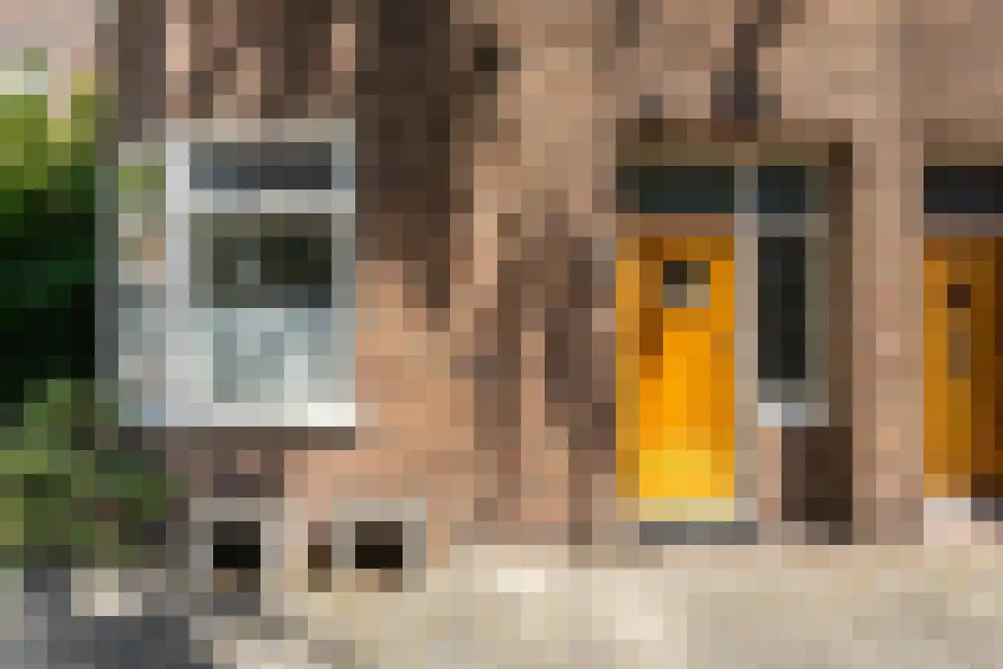 Eyssoniusstraat 3 Groningen thumbnail 5
