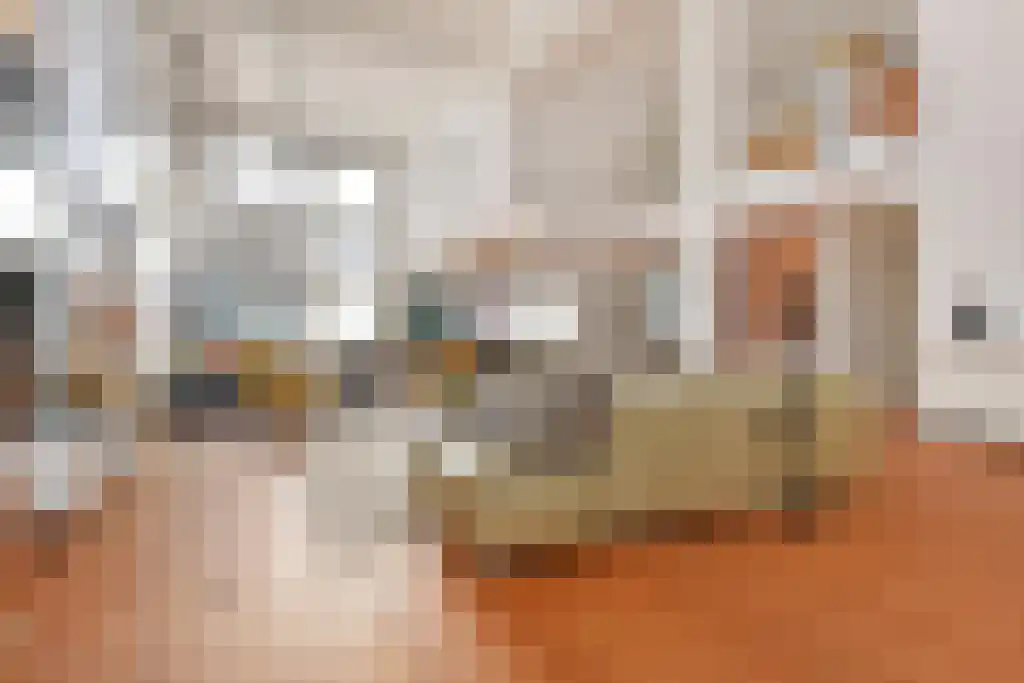 Ezelsveldlaan 105 Delft thumbnail 18