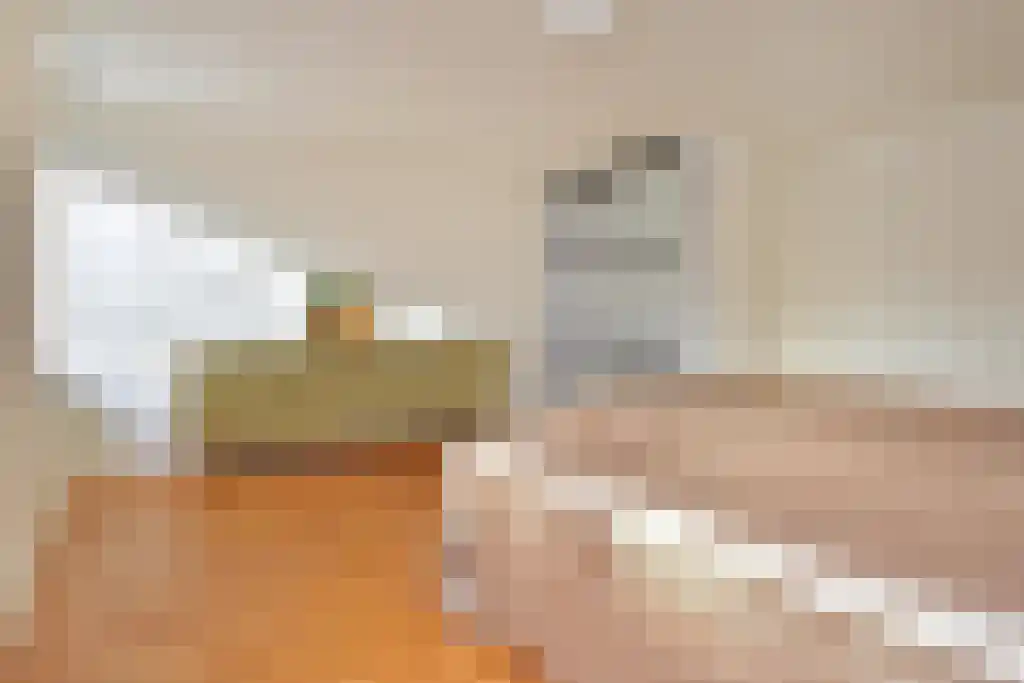 Ezelsveldlaan 105 Delft thumbnail 33